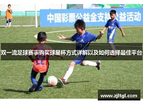 双一流足球赛事购买球星杯方式详解以及如何选择最佳平台