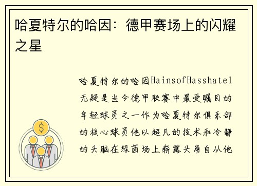 哈夏特尔的哈因：德甲赛场上的闪耀之星